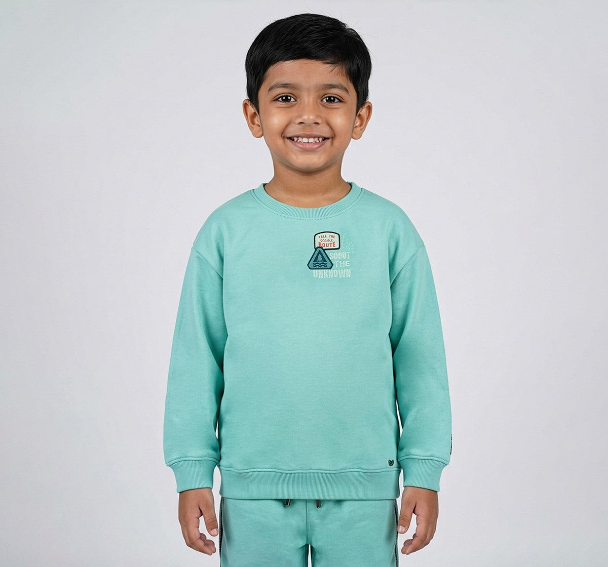 Boys Mint Green Cotton Blend Graphic Print Sweatshirt
