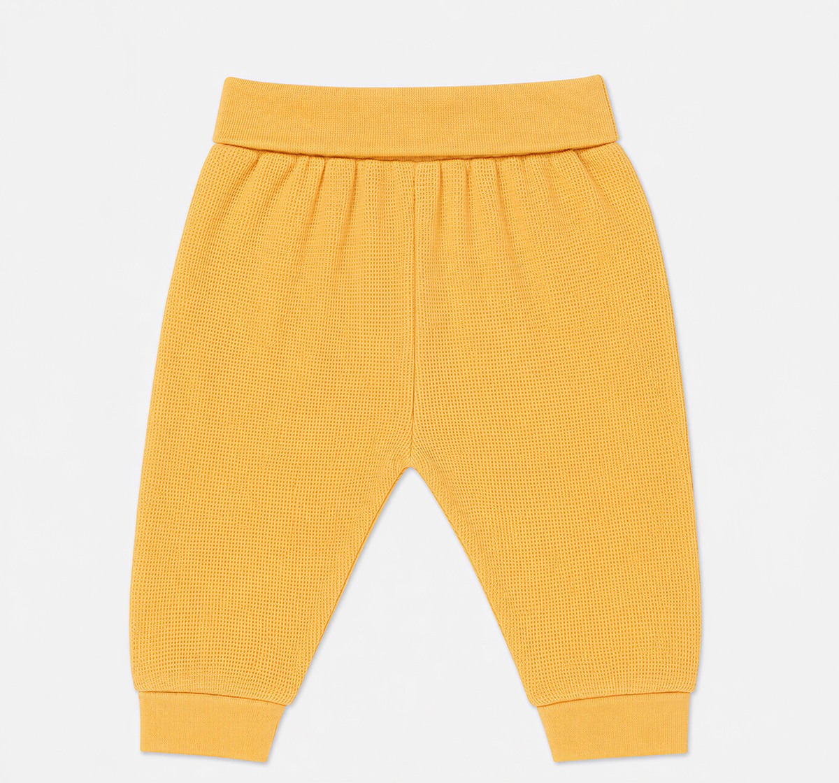 Jogger with Foldover Waistband Multi Pack of 2