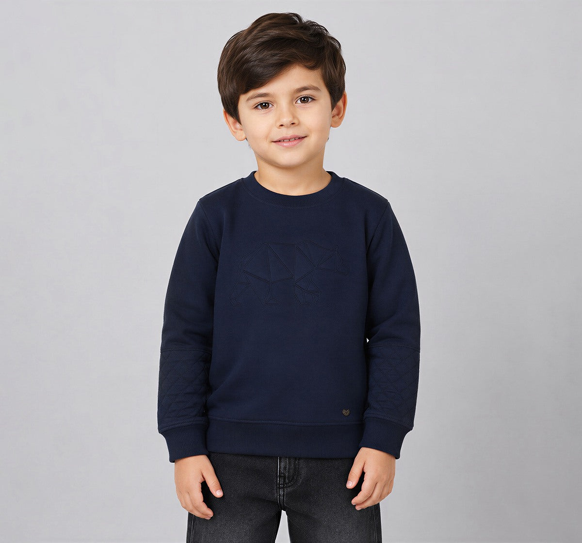 Boys Navy Embroidered Bear Regular Fit Sweatshirt