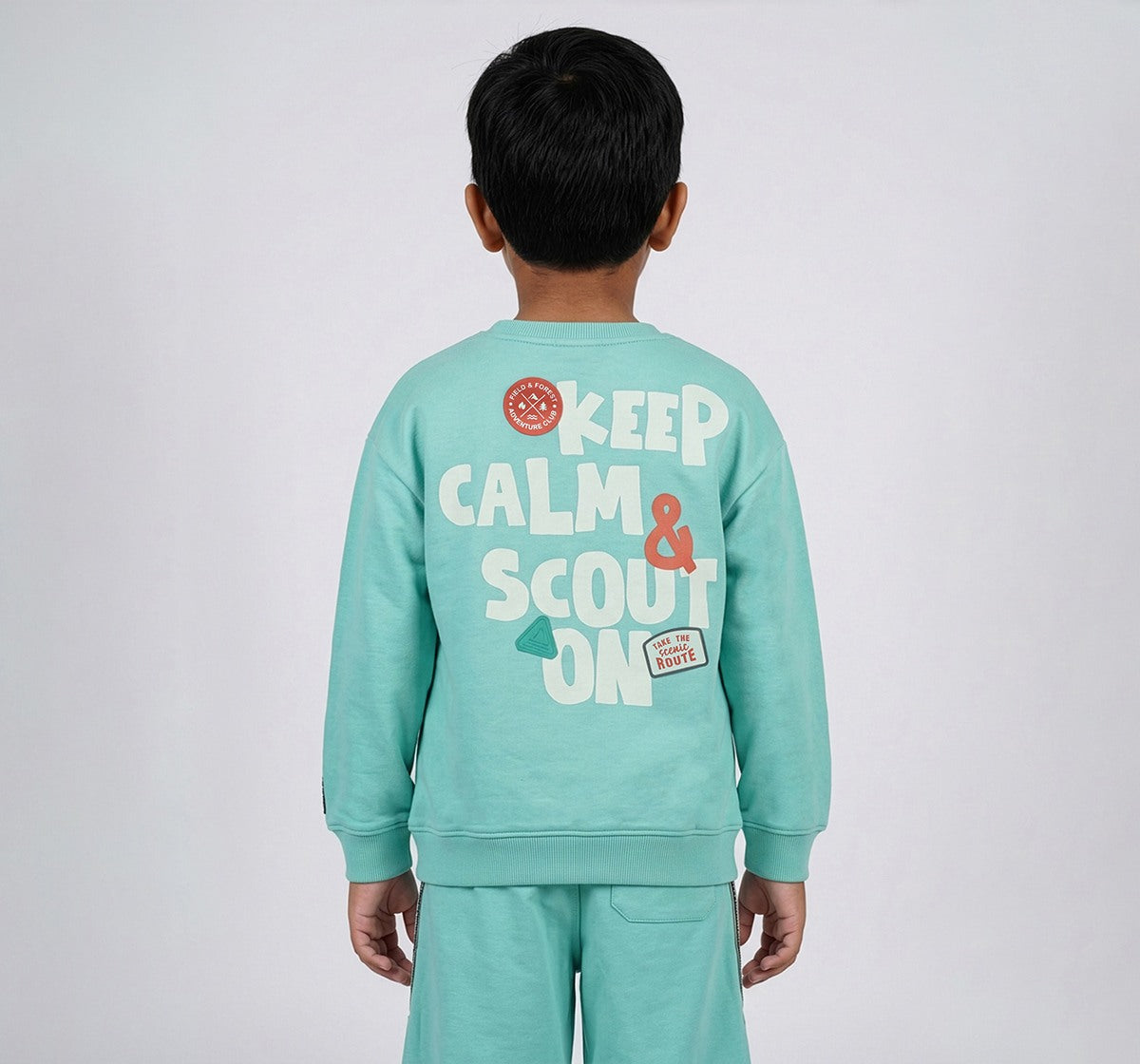 Boys Mint Green Cotton Blend Graphic Print Sweatshirt