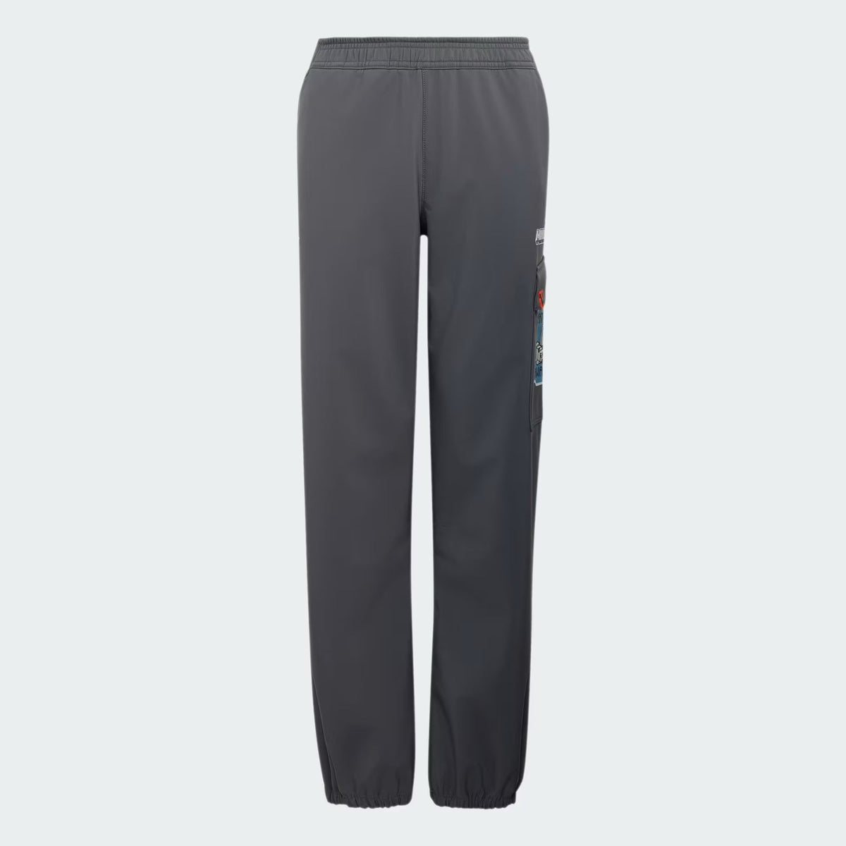 Adidas Minecraft Terrex Softshell Pants Grey