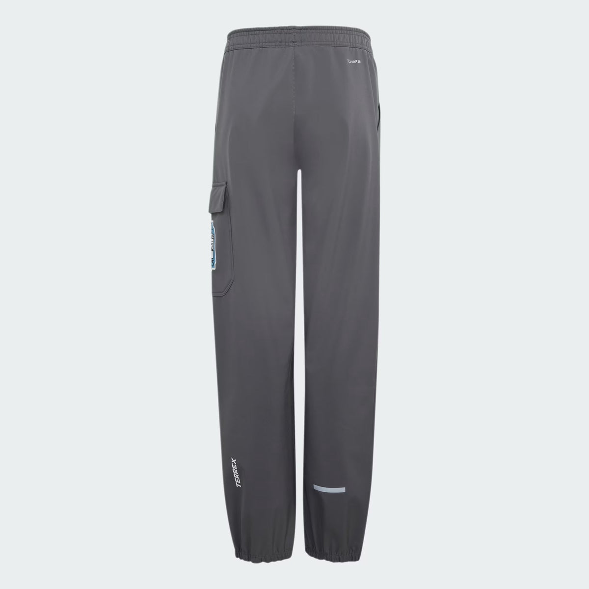 Adidas Minecraft Terrex Softshell Pants Grey