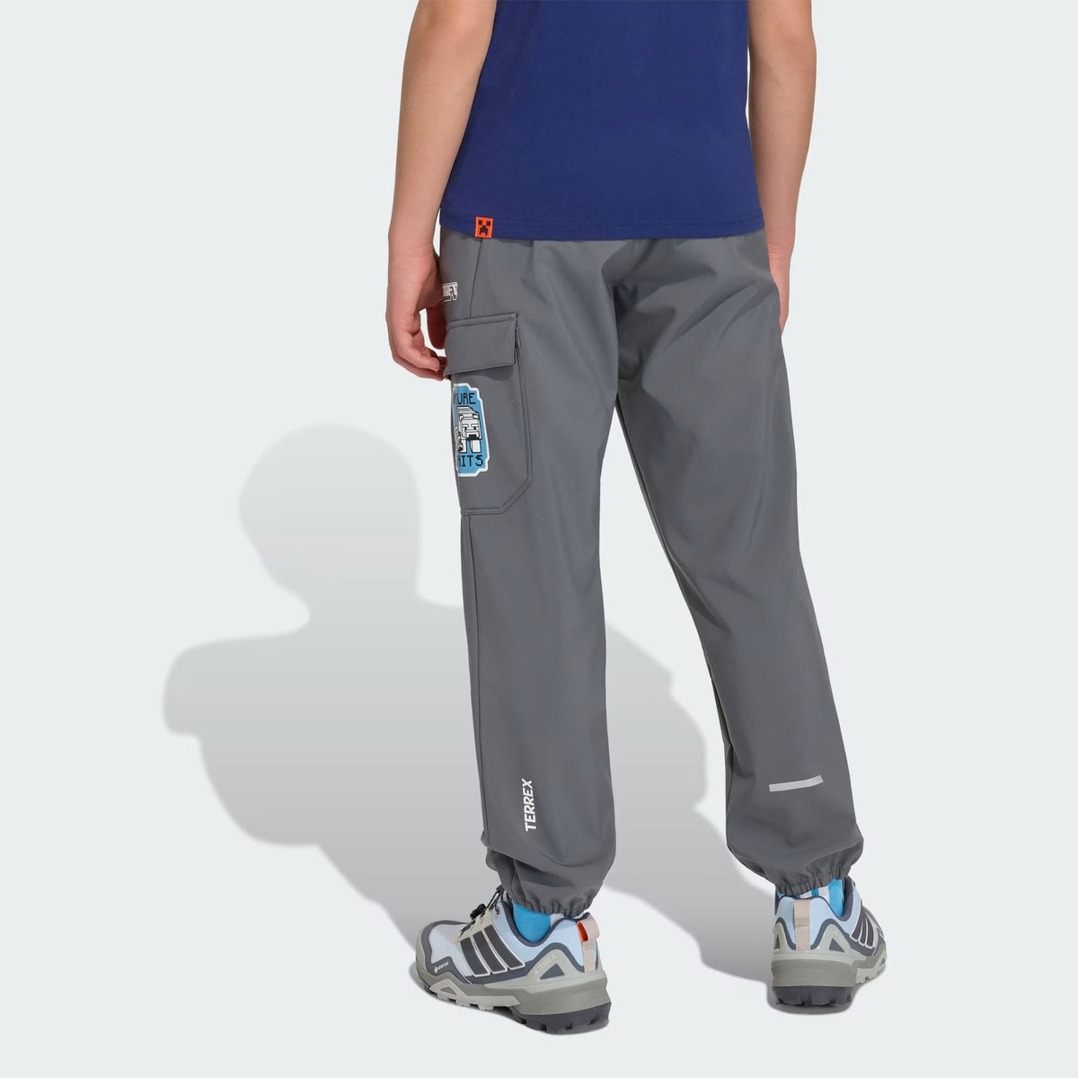 Adidas Minecraft Terrex Softshell Pants Grey