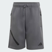 Adidas Z.N.E. Shorts Grey