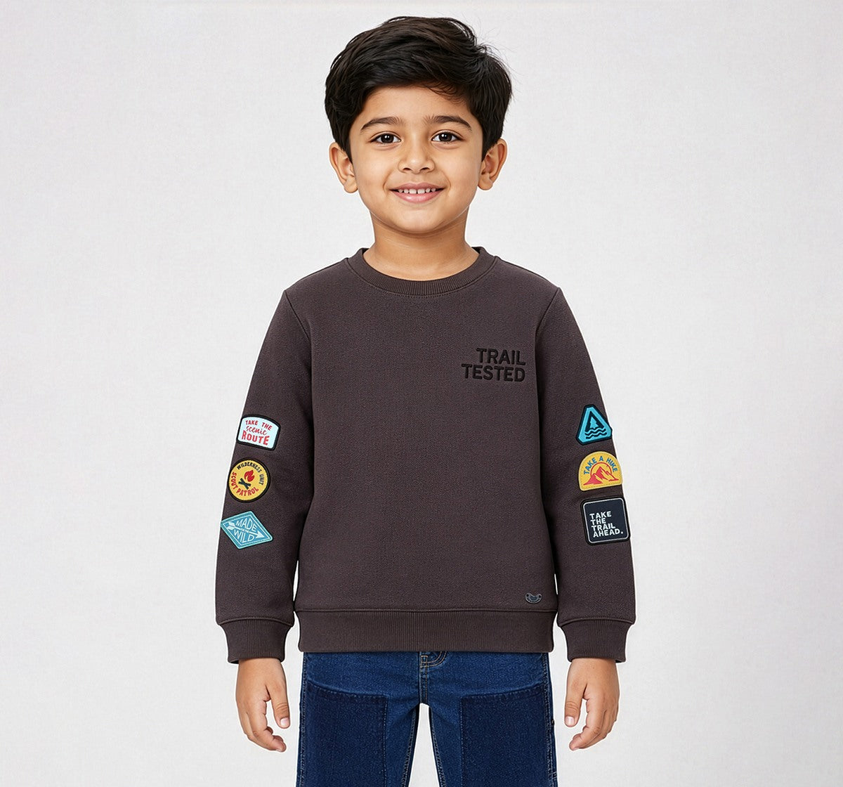 Boys Brown Textured Graphic Print Regular Fit Sweatshirt