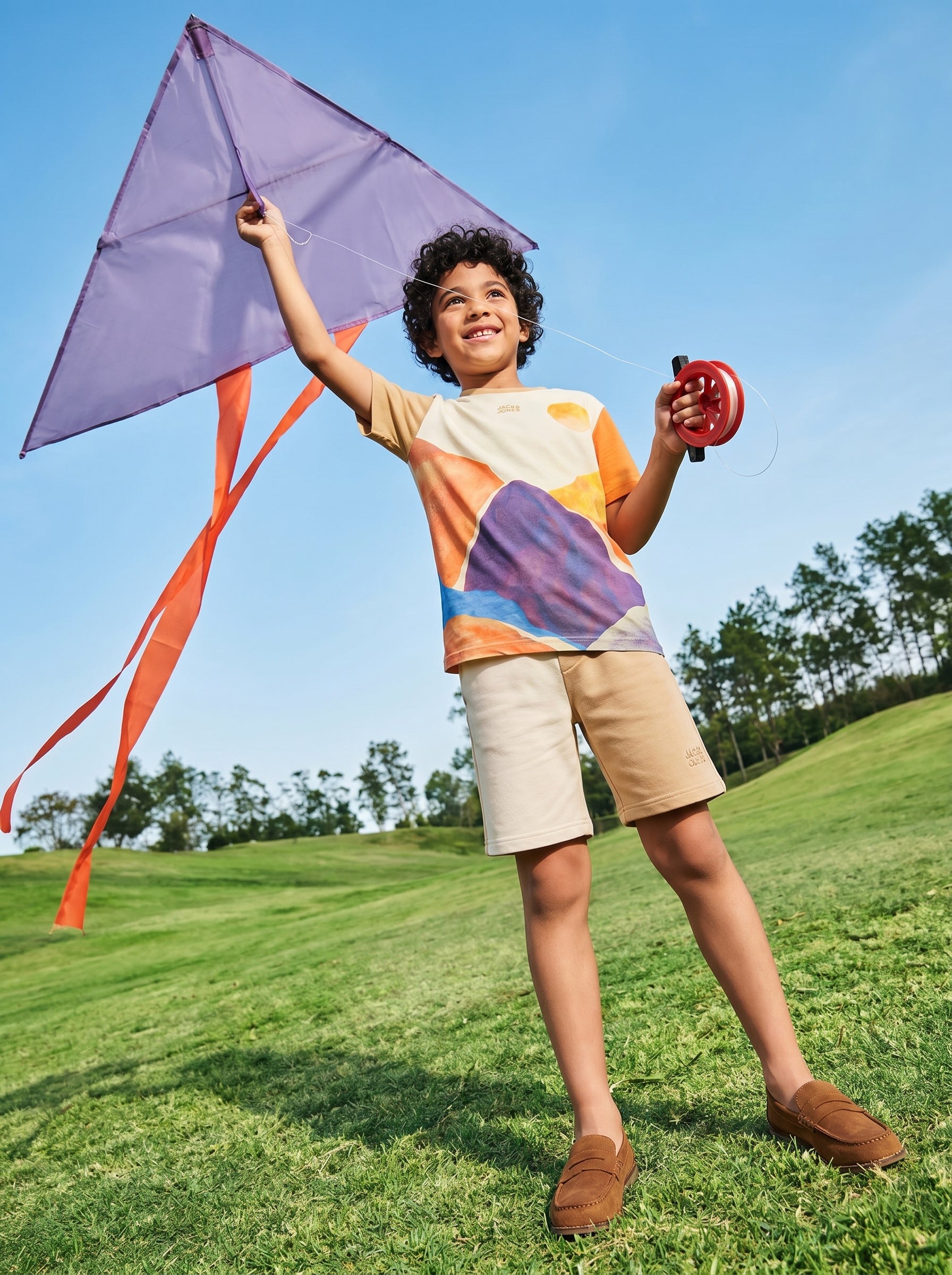 Boys Brown Colourblocked Cotton Casual Shorts