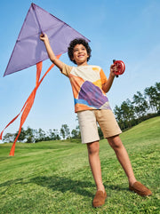 Boys Brown Colourblocked Cotton Casual Shorts