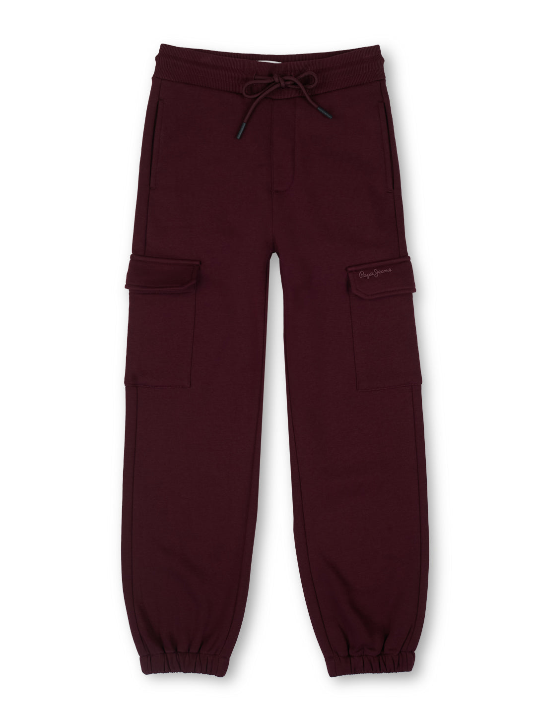 Boys Burgundy Graphic Print Regular Fit Joggers Everyday