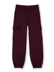 Boys Burgundy Graphic Print Regular Fit Joggers Everyday