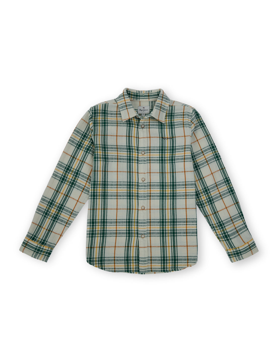 Boys Green Checked Regular Fit Shirt Everyday