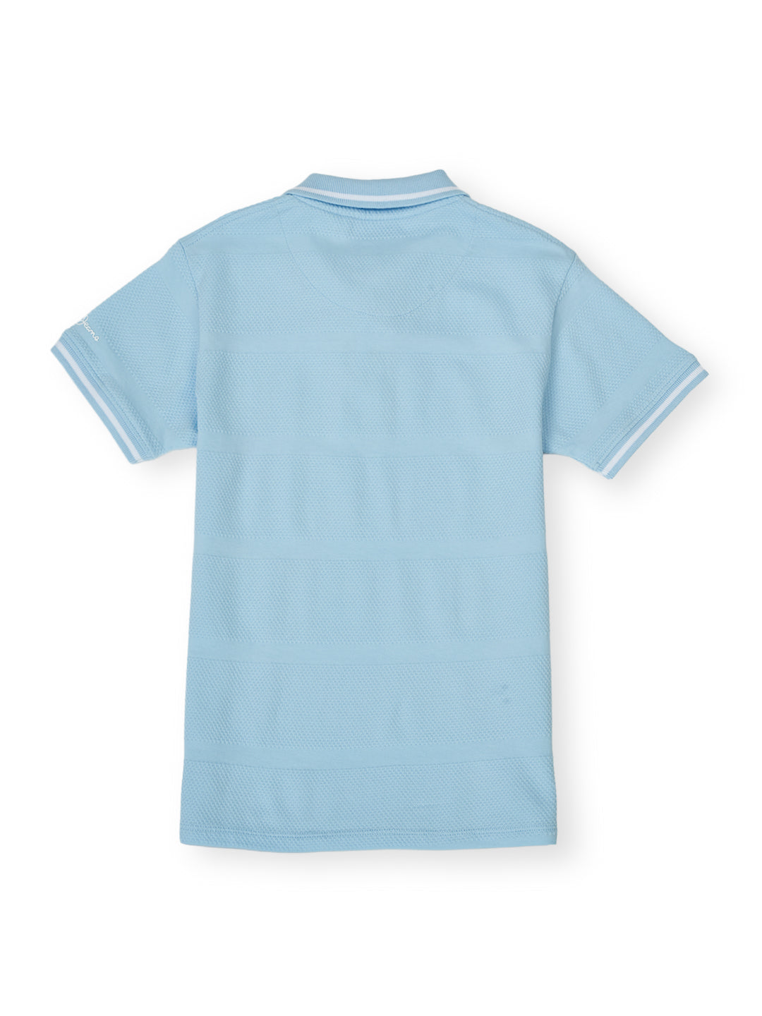 Boys Sky Striped Regular Fit Polo