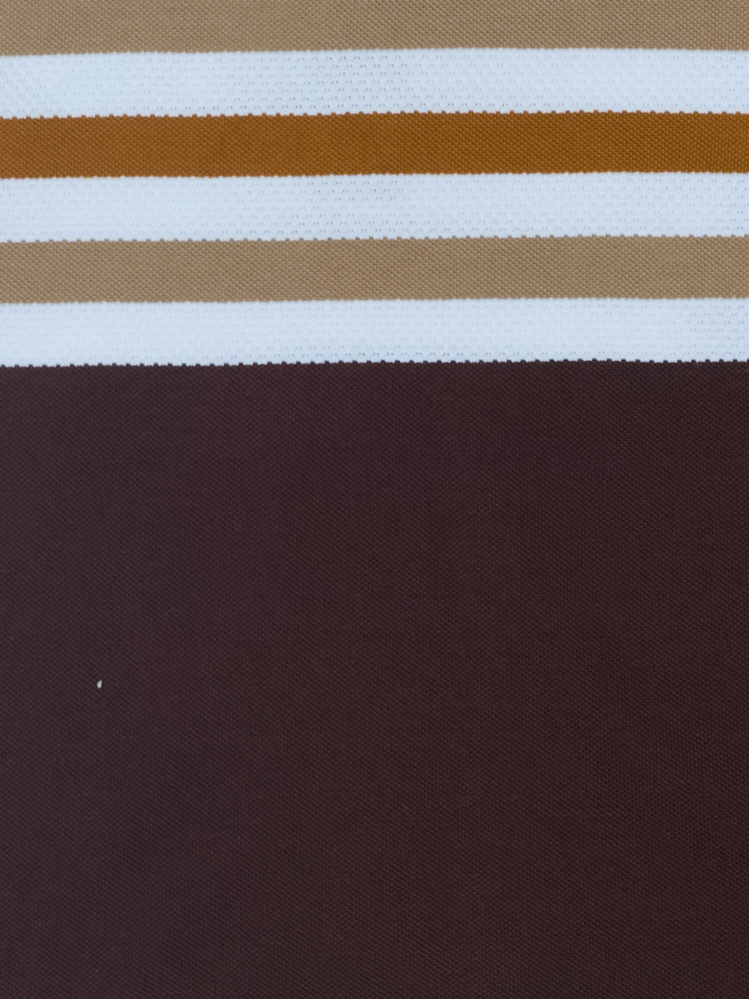 Boys Brown Striped Regular Fit Polo