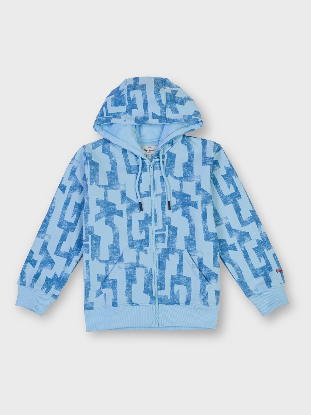 Boys Sky Distressed Regular Fit Sweatshirt