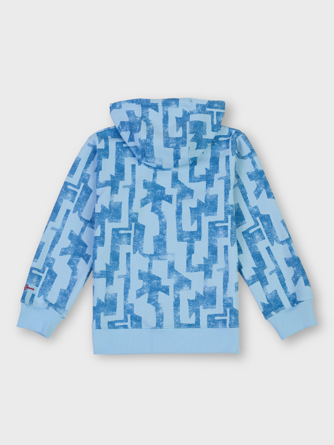 Boys Sky Distressed Regular Fit Sweatshirt