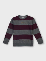 Boys Antracite Striped Regular Fit Sweatshirt
