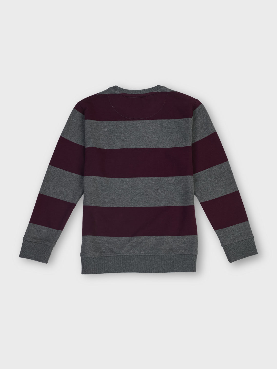 Boys Antracite Striped Regular Fit Sweatshirt