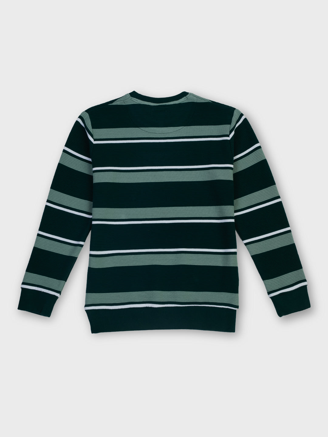 Boys Green Striped Regular Fit Sweatshirt