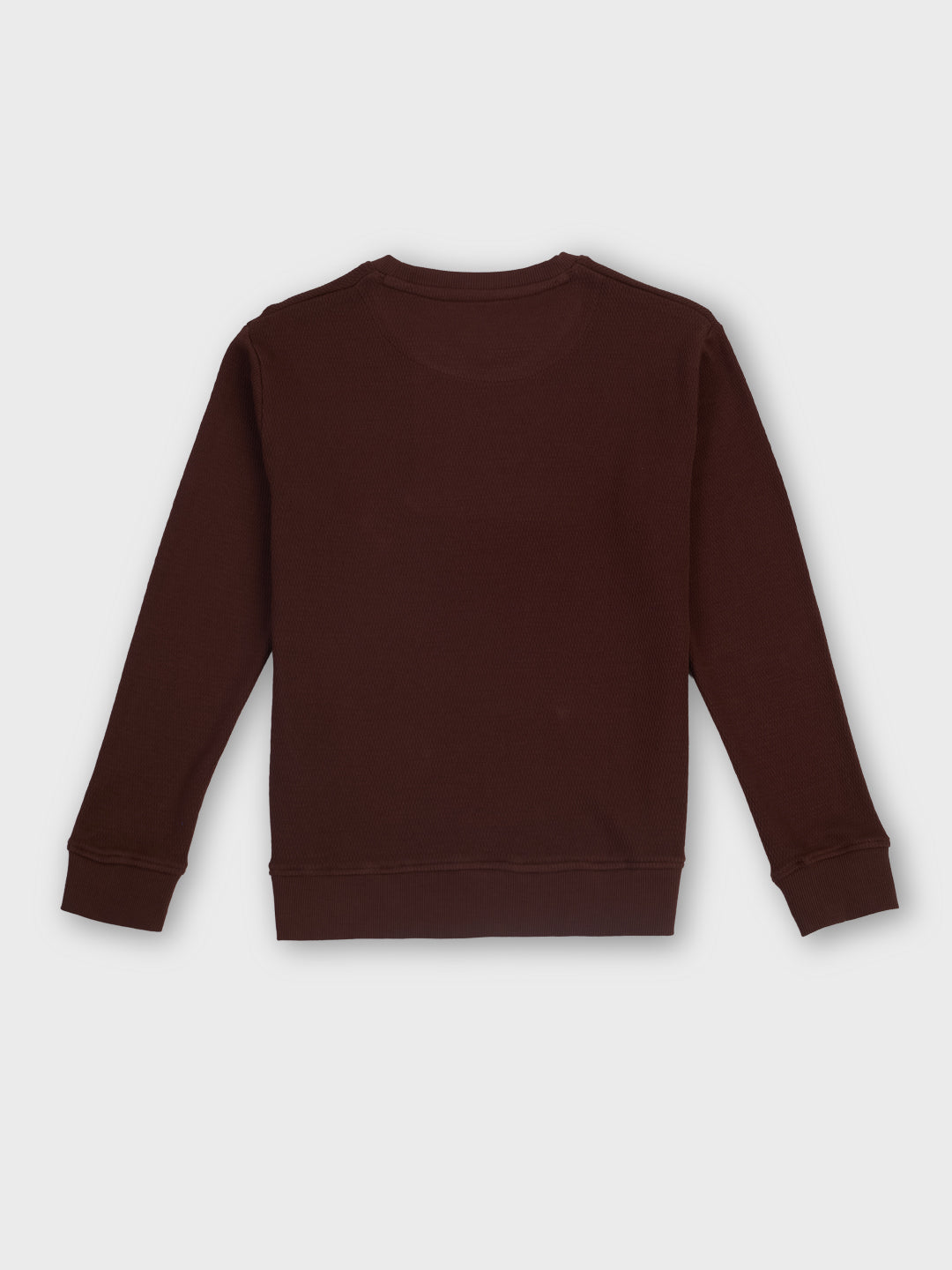 Boys Cocoa Graphic Print Regular Fit Sweatshirt
