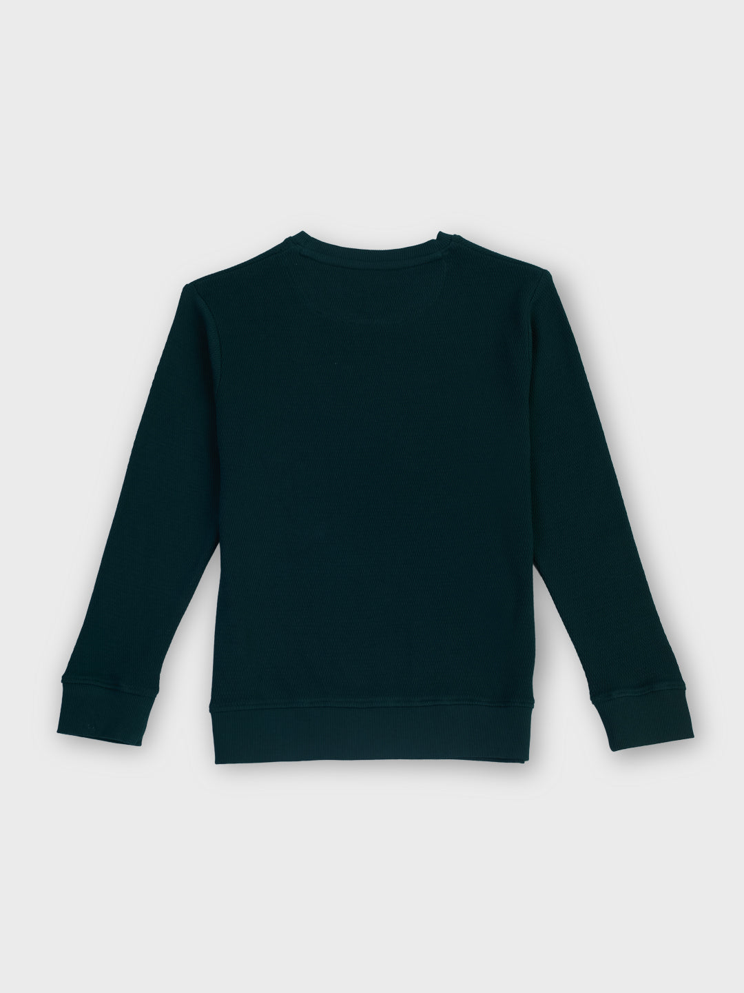 Boys Green Graphic Print Regular Fit Sweatshirt Full Sleeves