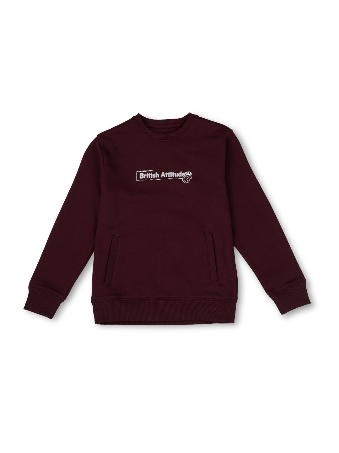 Boys Burgundy Graphic Print Regular Fit Sweatshirt Everyday