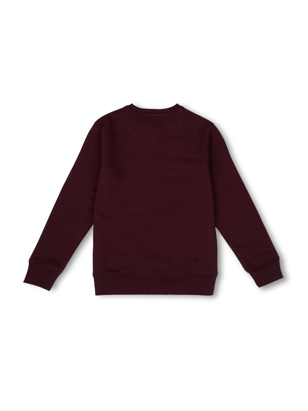 Boys Burgundy Graphic Print Regular Fit Sweatshirt Everyday