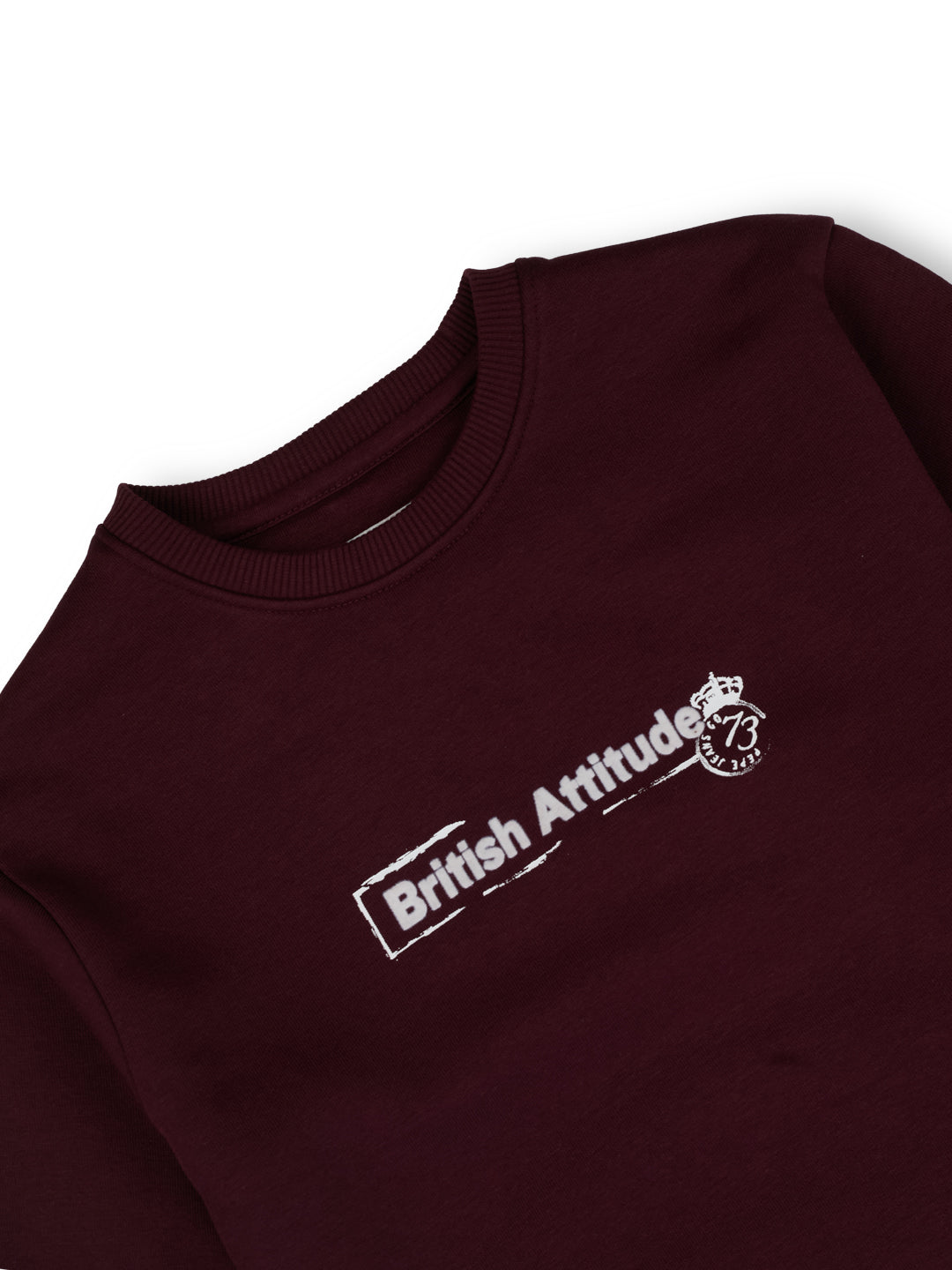 Boys Burgundy Graphic Print Regular Fit Sweatshirt Everyday