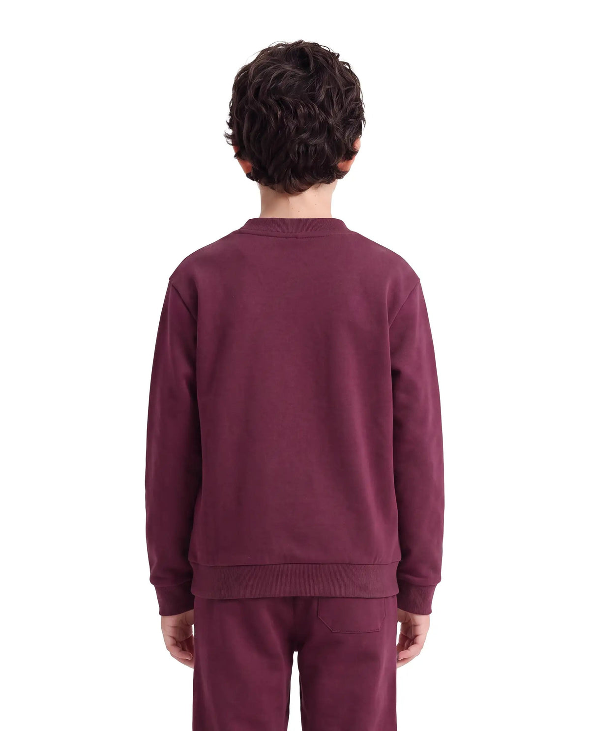 Rare Ones Boys Sohi Cotton Blend Sweatshirt - Maroon