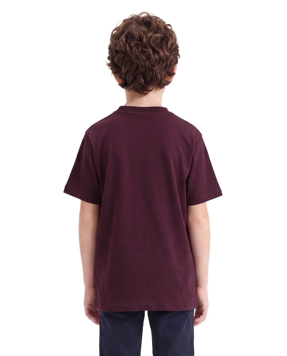 Rare Ones Boys Rovis Cotton Blend T-Shirt - Dark Maroon