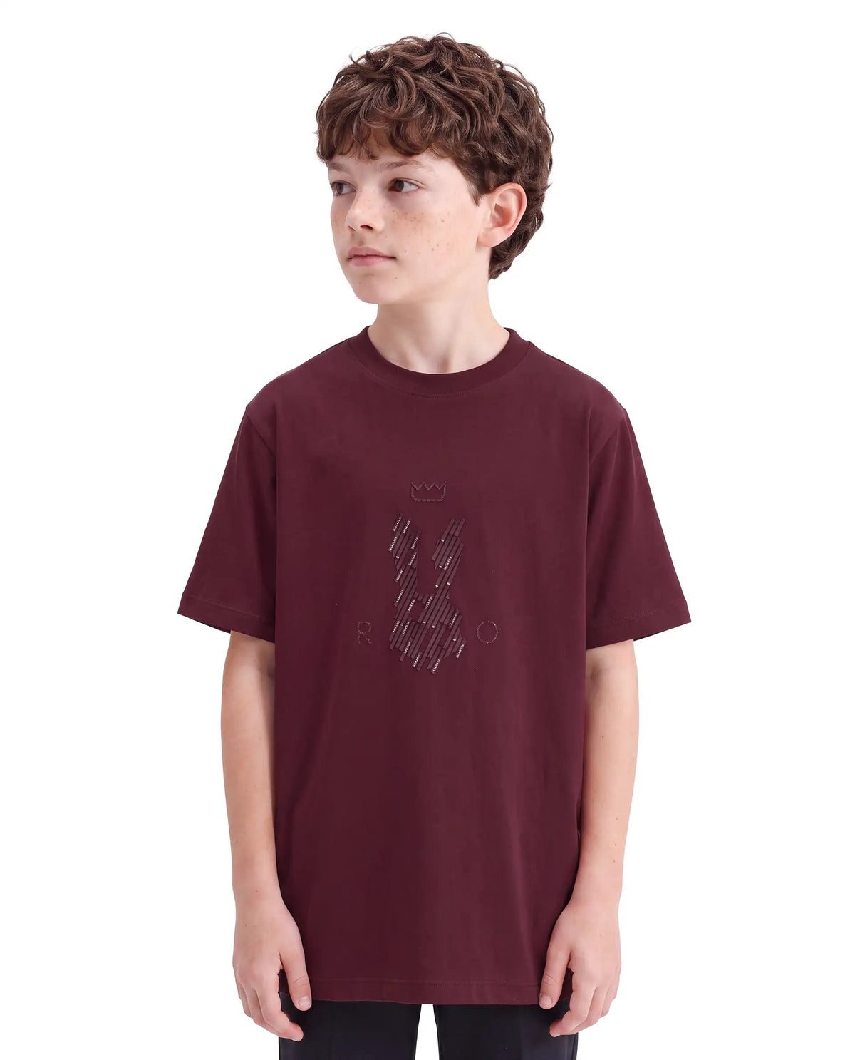 Rare Ones Boys Lupin Cotton Blend T-Shirt - Maroon