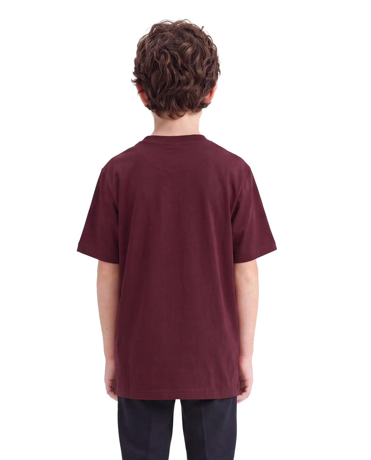 Rare Ones Boys Lupin Cotton Blend T-Shirt - Maroon