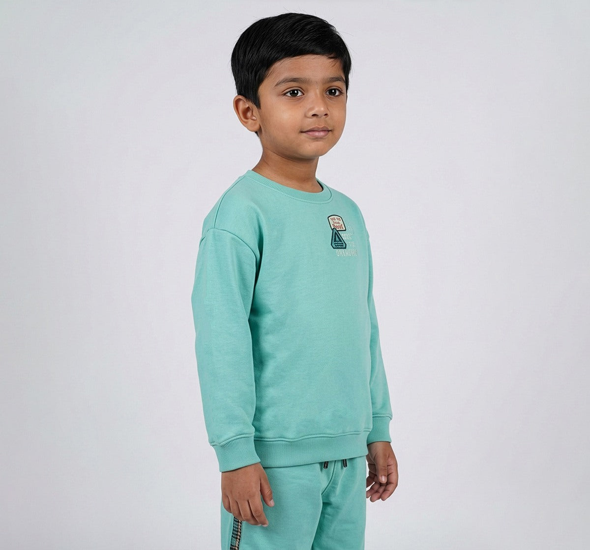 Boys Mint Green Cotton Blend Graphic Print Sweatshirt