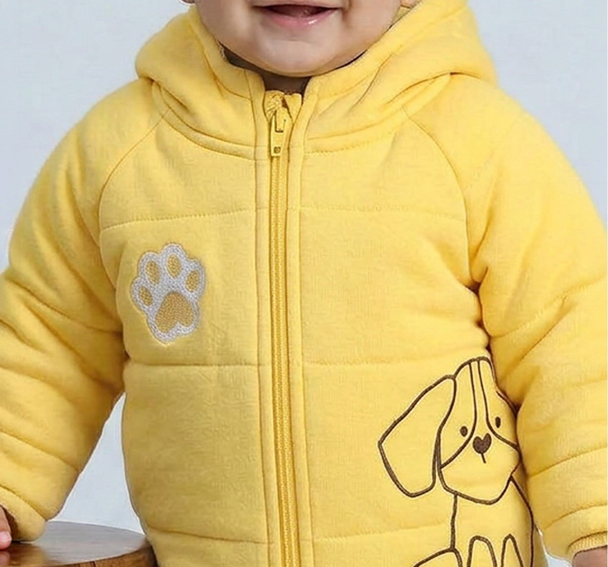 Heavywinter Hooded Embroidered Jacket Yellow