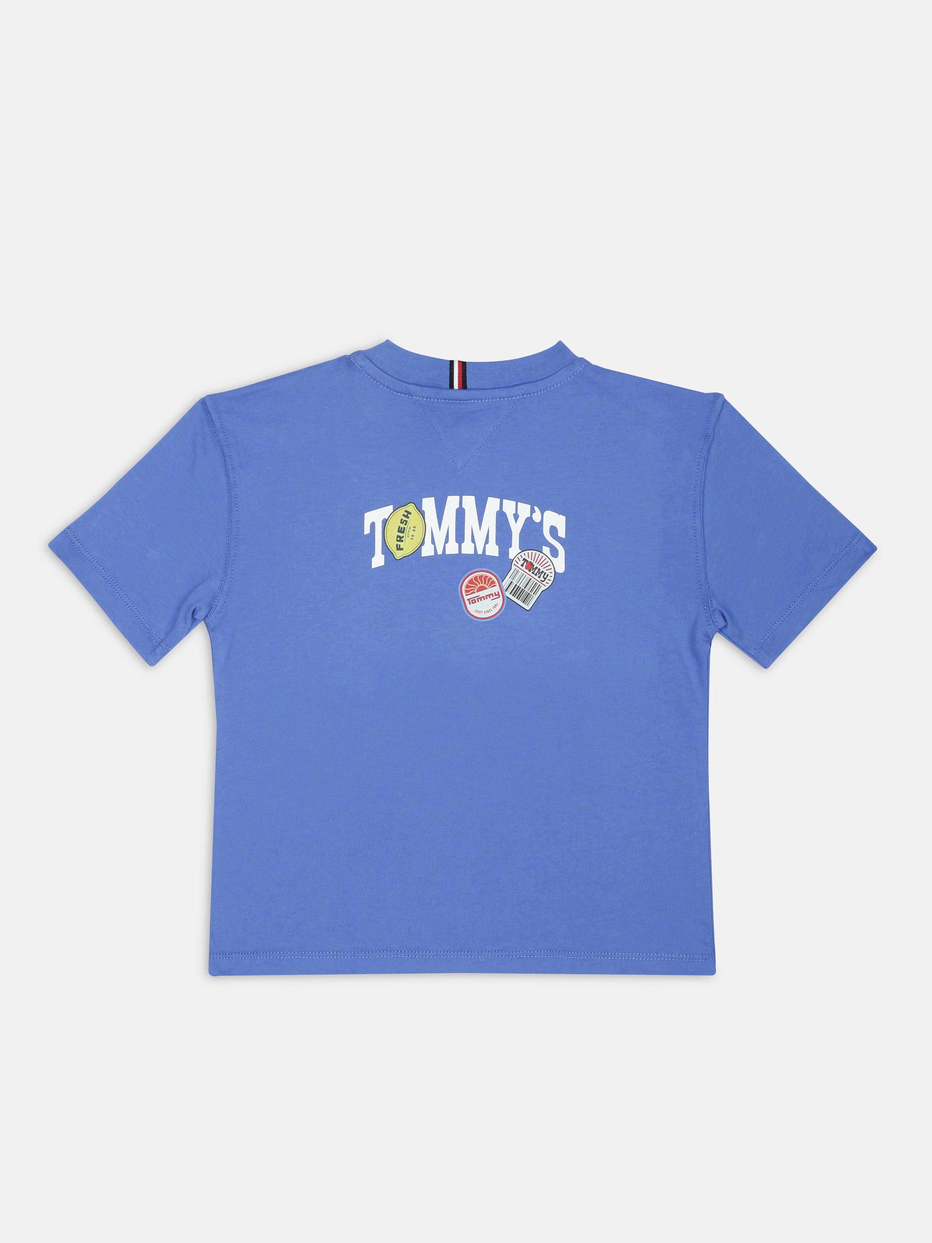 Boys Blue Graphic Cotton Crew Neck Knit Top Classic Fit