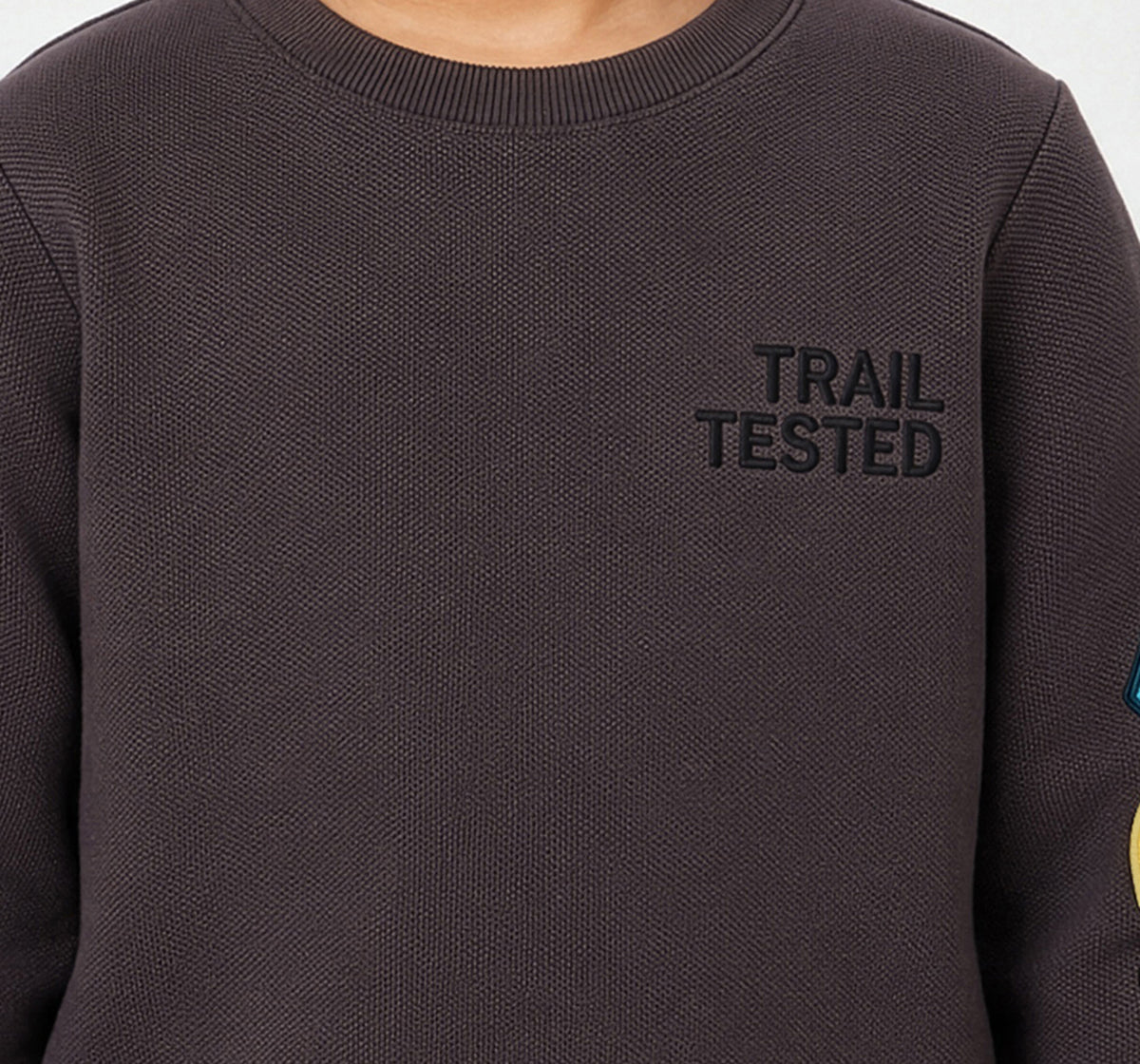 Boys Brown Textured Graphic Print Regular Fit Sweatshirt