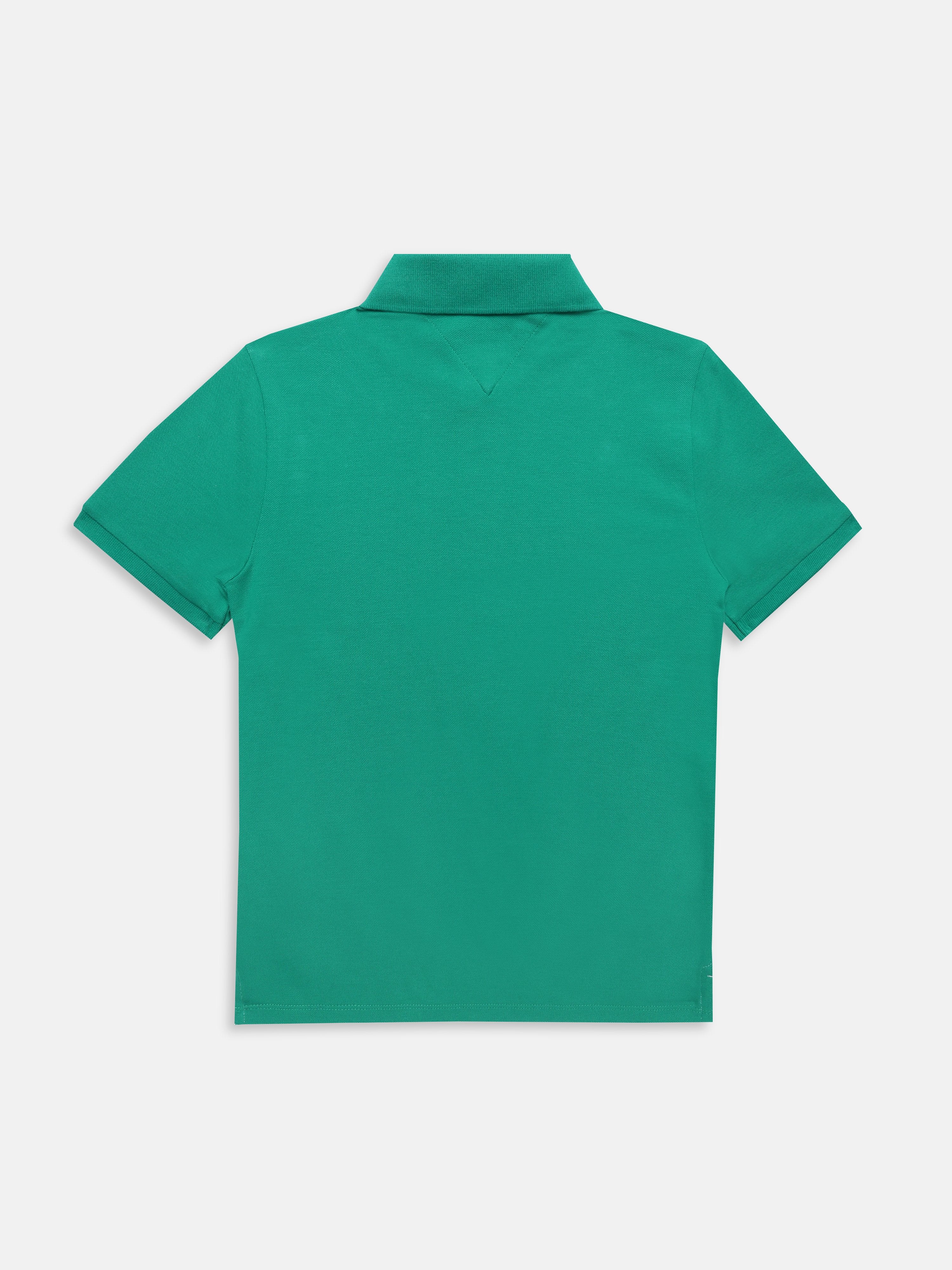 Boys Green Colorblock Polo Knit T-Shirt