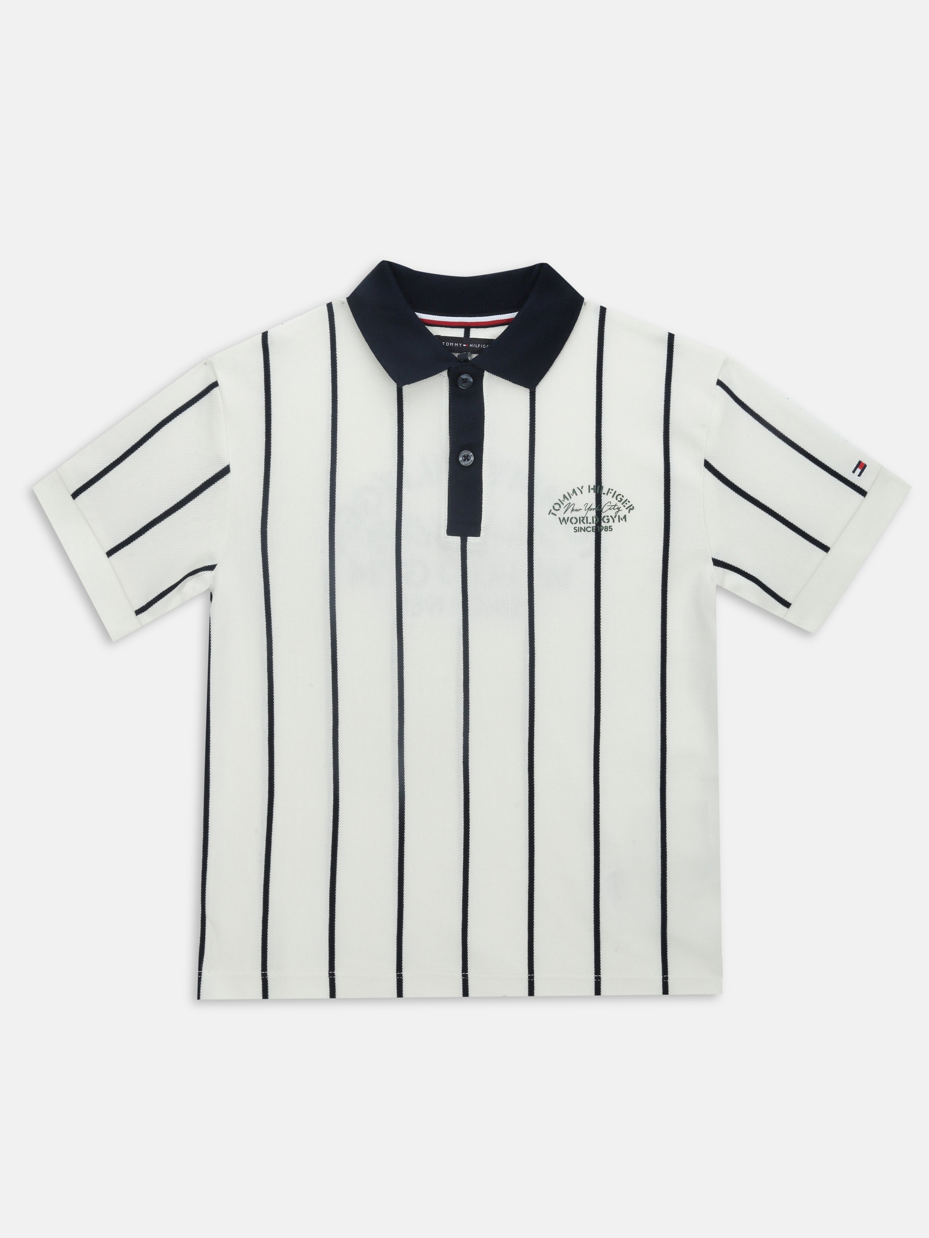 Boys White Solid Polo Knit T-Shirt