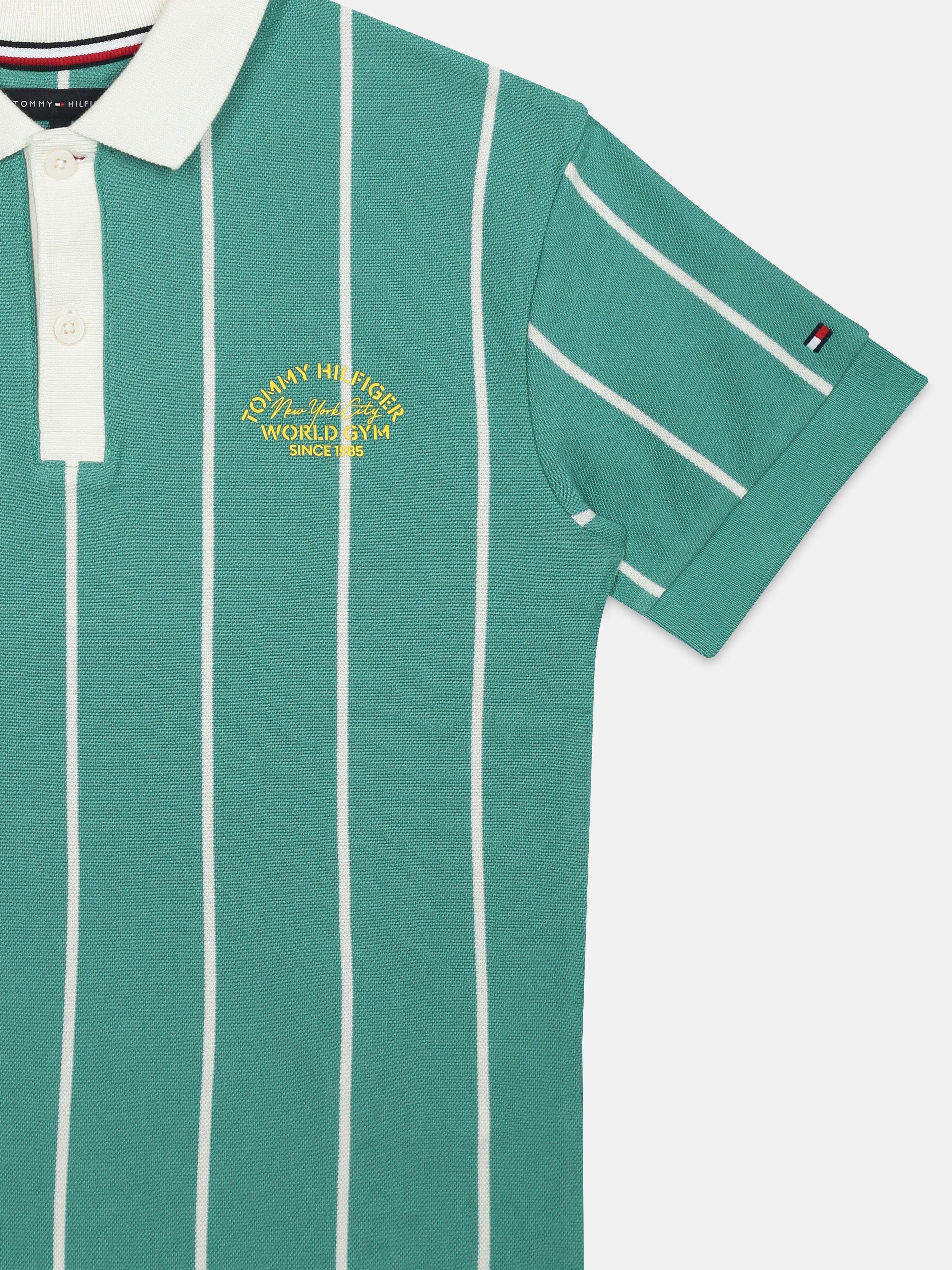 Boys Green Striped Polo Knit T-Shirt