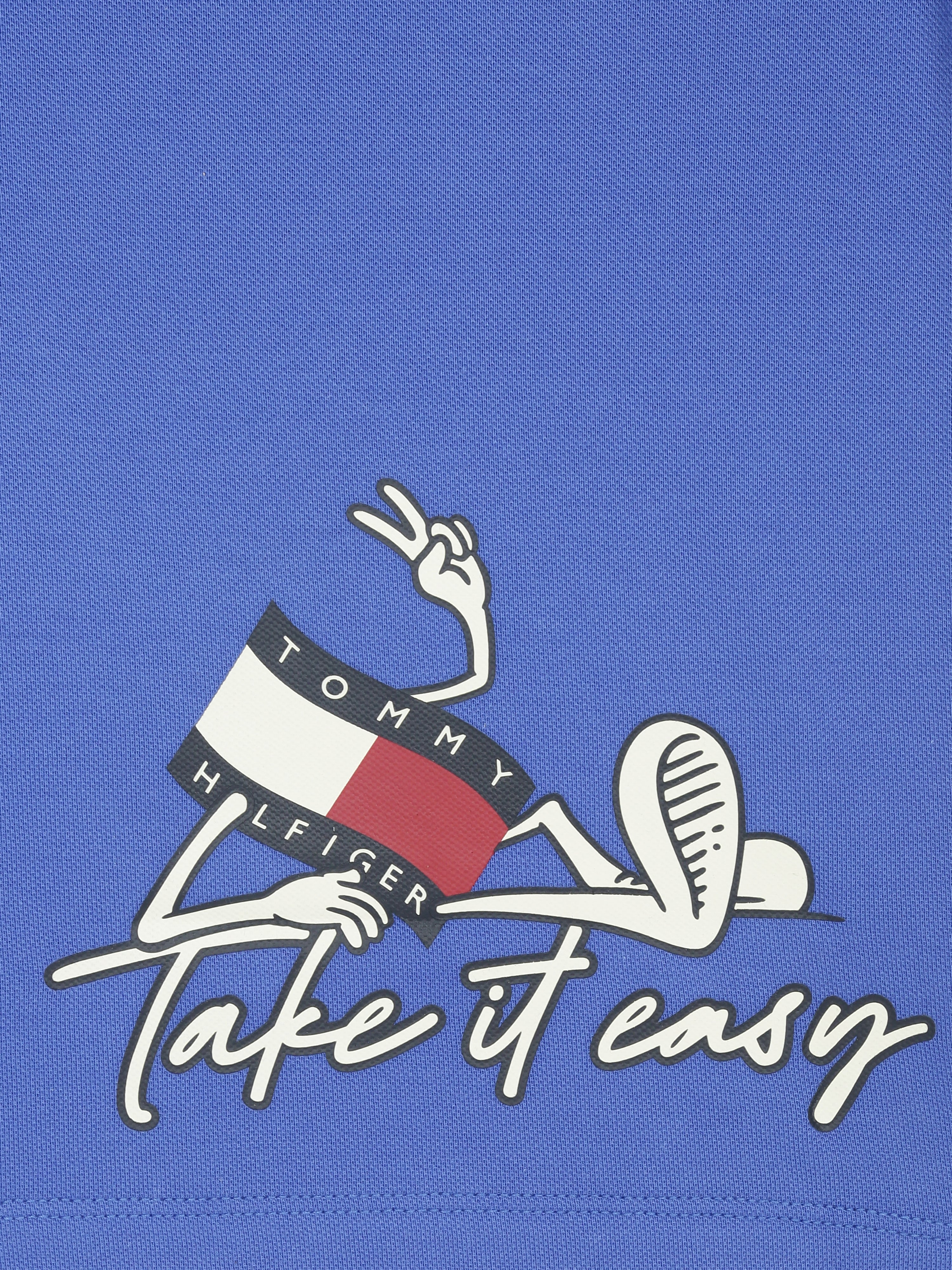 Boys Blue Graphic Cotton Polo Knit Top Regular Fit