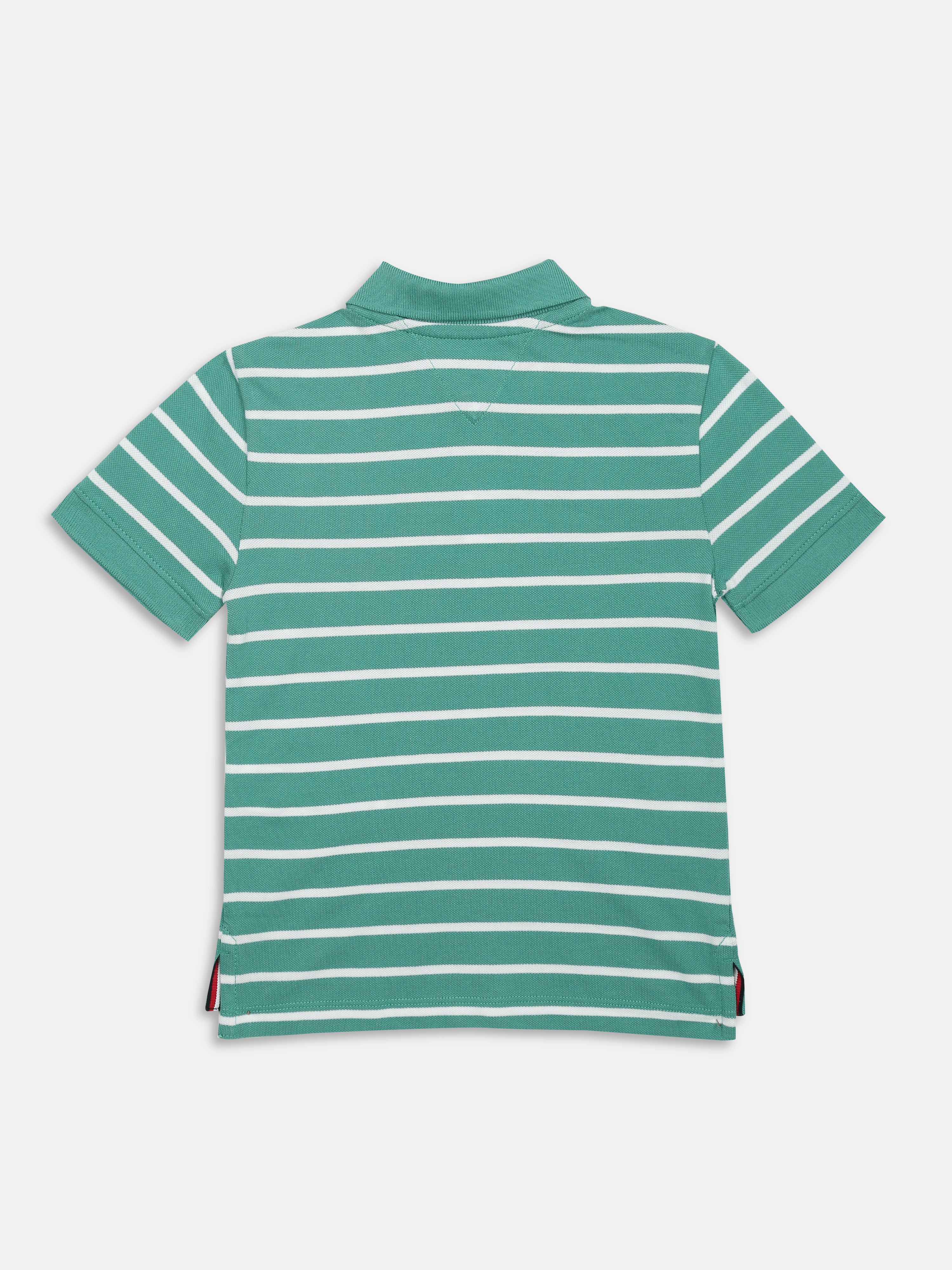 Boys Green Striped Cotton Polo Knit Top Regular Fit