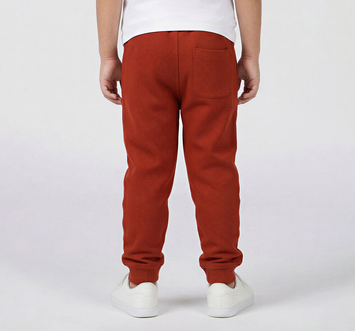 Boys Rust Cotton Blend Regular Fit Knit Joggers