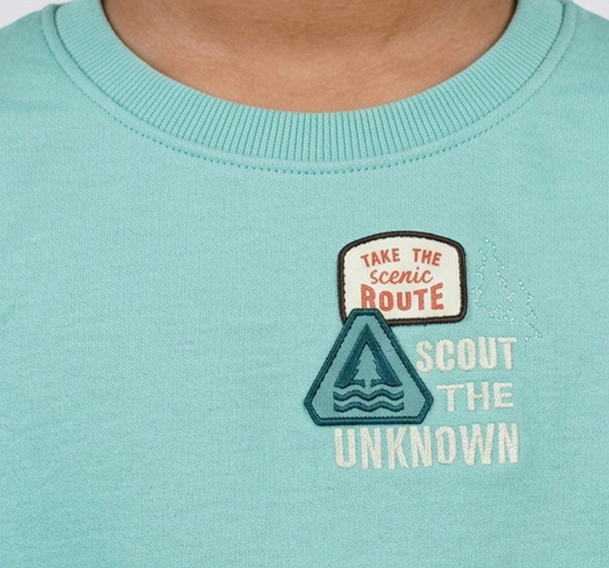Boys Mint Green Cotton Blend Graphic Print Sweatshirt