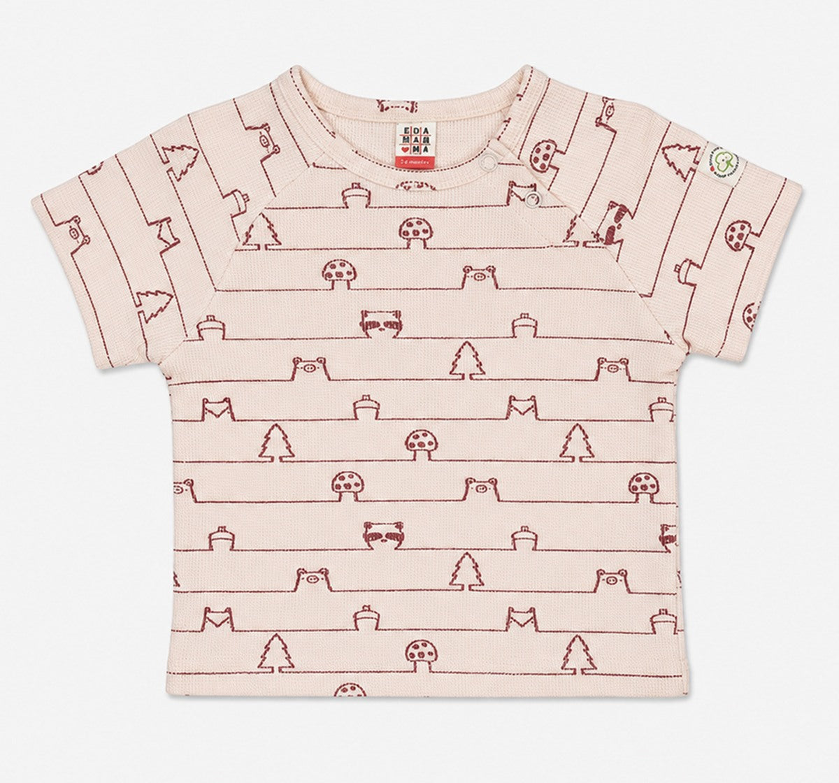 Raglan Half Sleeve Tees Multi Pack of 2